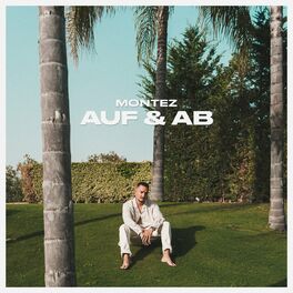 Album picture of Auf & Ab