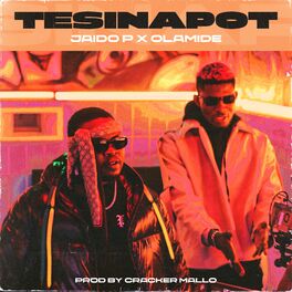 Album cover of Tesina Pot