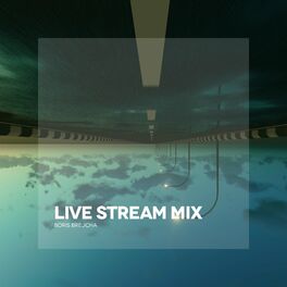 Album cover of Live Stream Mix (Mixed)