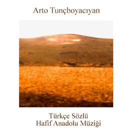 Album cover of Türkçe Sözlü Hafif Anadolu Müziği