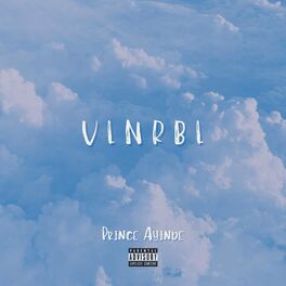 Album cover of VLNRBL
