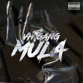 Album cover of Mula