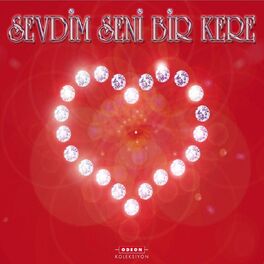 Album cover of Sevdim Seni Bir Kere