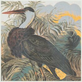 Album cover of Bird Up