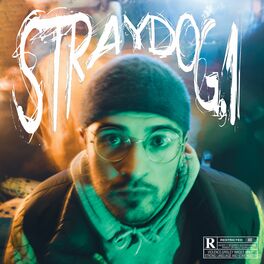Album cover of STRAYDOG.1