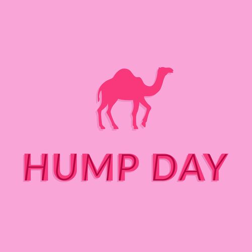 happy wednesday hump day pictures