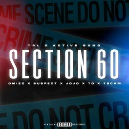 Album cover of Section 60
