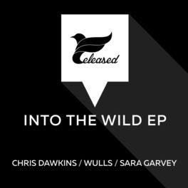 Album cover of Into the Wild - EP