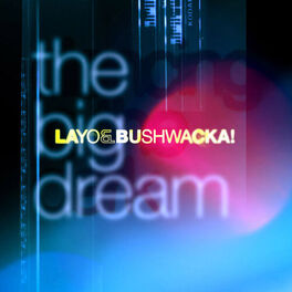 Album cover of The Big Dream