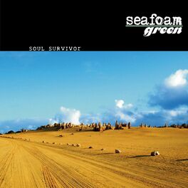 Album cover of Soul Survivor