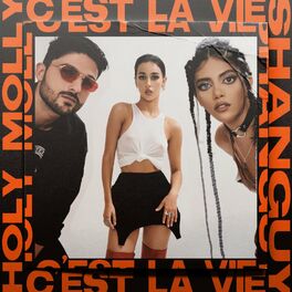 Album cover of C'est la Vie (NRD1 Remix)