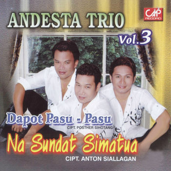 Andesta Trio Sampai Hati Ho Listen With Lyrics Deezer