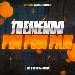 Album cover of Tremendo Pim Pum Pam