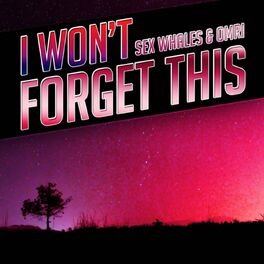 Album cover of I Won't Forget This