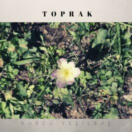 Album cover of Toprak