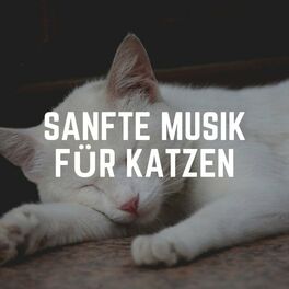Album cover of Sanfte Musik Für Katzen