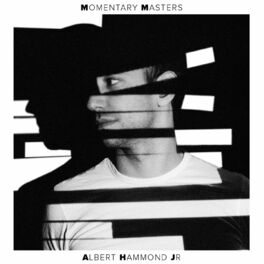 Album cover of Momentary Masters