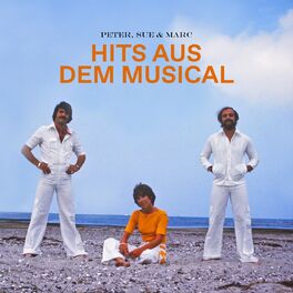 Album cover of Hits aus dem Musical