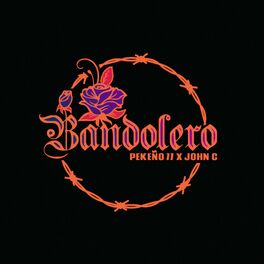 Album cover of Bandolero