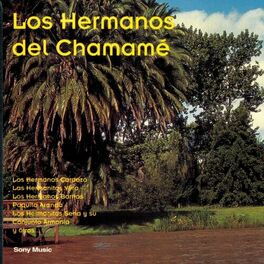 Album cover of Los Hermanos del Chamamé