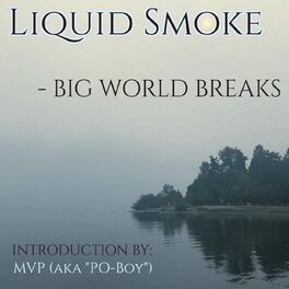 Album cover of Liquid Smoke