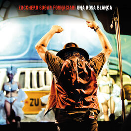 Album cover of Una Rosa Blanca