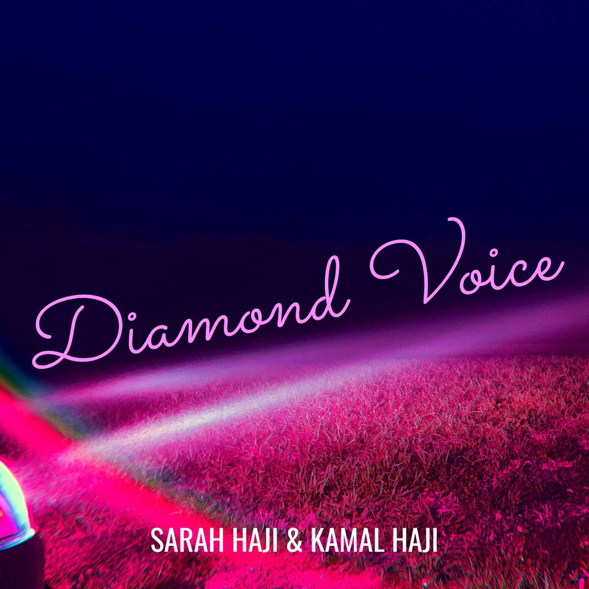 Sarah Haji - Diamond Voice: lyrics and songs | Deezer