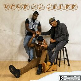 Album cover of VOYÉ SA ALLÉÉ