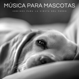 Album cover of Música Para Mascotas: Sonidos Para La Siesta Del Perro
