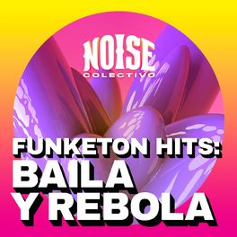 Album cover of Funketon Hits: Baila y Rebola