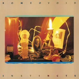 Album cover of Instincts