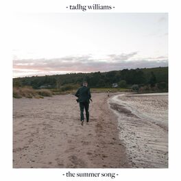 Album cover of The Summer Song