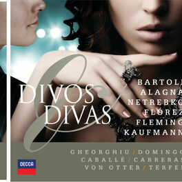 Album cover of Divos & Divas