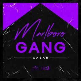 Album cover of Marlboro Gang