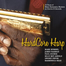 Album cover of Hard Core Harp