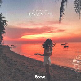 Album cover of It Wasn't Me