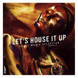 Album cover of Let's House It Up, Vol. 25