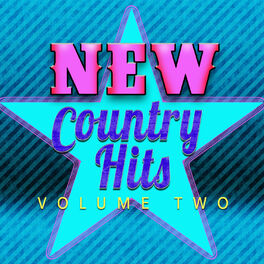 Album cover of New Country Hits, Vol. 2