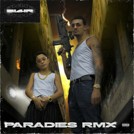 Album cover of Paradies (Remix)