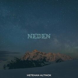 Album cover of Metehan Altınok - Neden