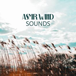 Album cover of ASMR Wind Sounds