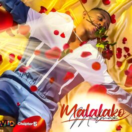 Album cover of Malalako