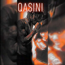 Album cover of Qasini