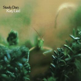 Album cover of Katy Lied