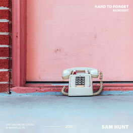 Album cover of Hard To Forget (Radio Edit)