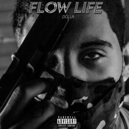 Album cover of Flow Life