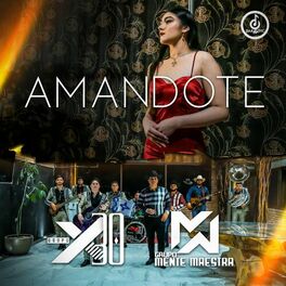 Album cover of Amándote