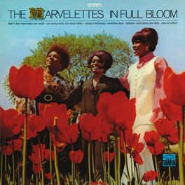 Album cover of In Full Bloom