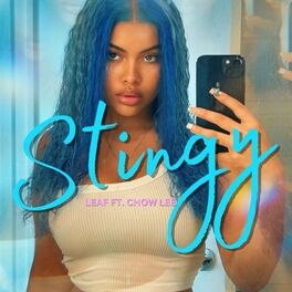 Album cover of Stingy