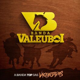 Album cover of A Banda Top das Vaquejadas